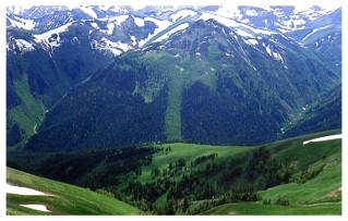       Кавказский государственный
природный биосферный заповедник